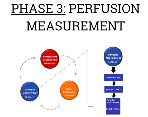 Phase 3: Active perfusion measurement