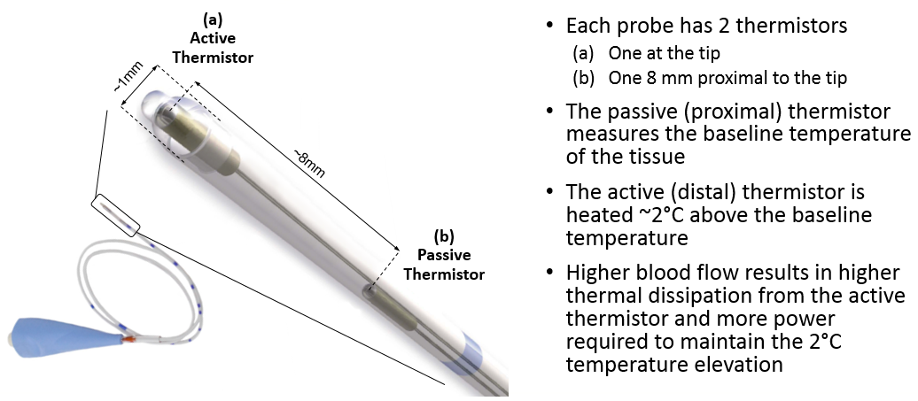 QFlow 500 Probe dual-thermistor design